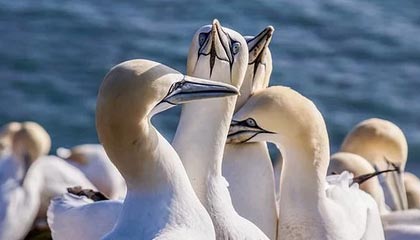 桐乡最新的高价找中介取公积金违法吗方法分享(桐乡中介取公积金怎么收费教程)